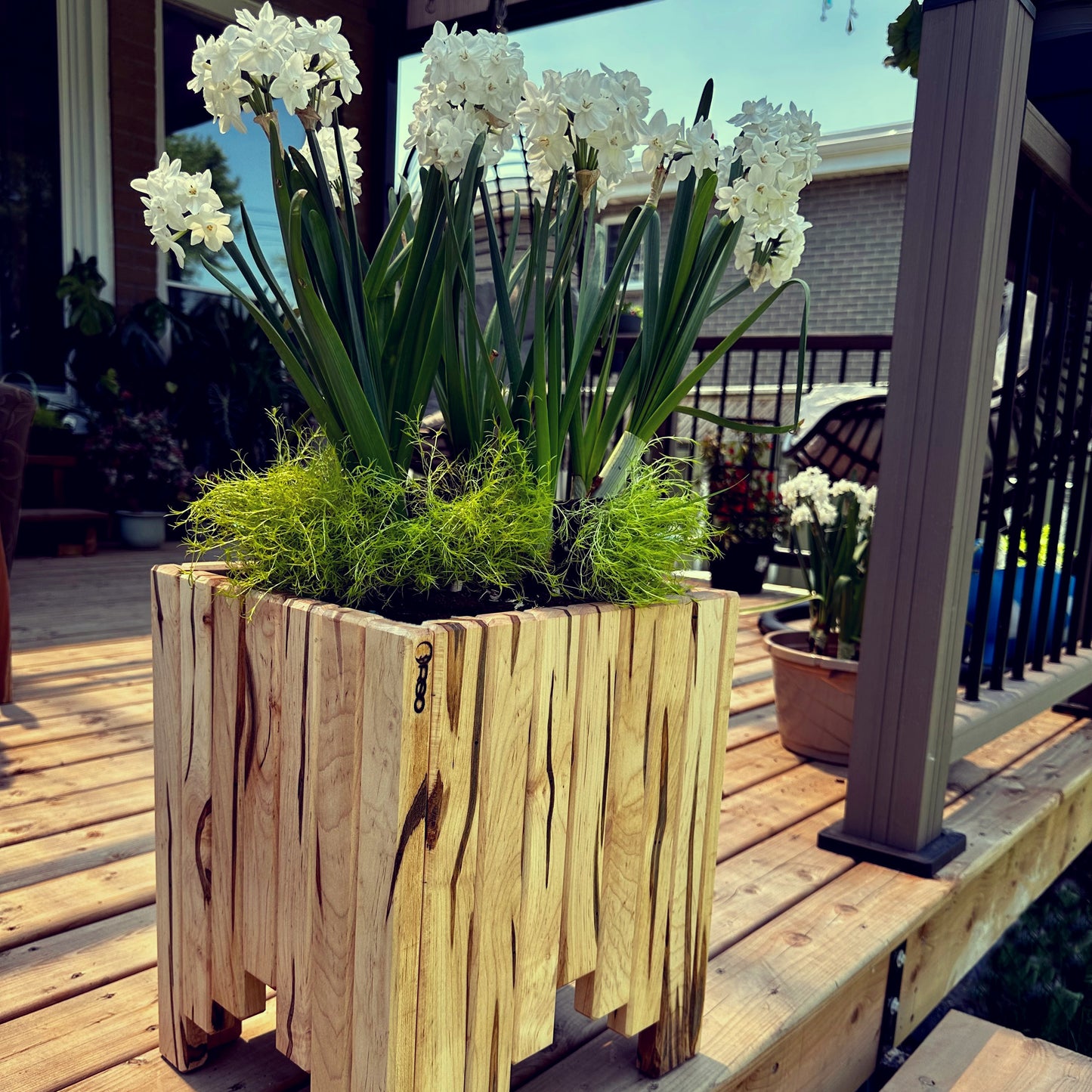 Minimalist Flower pot